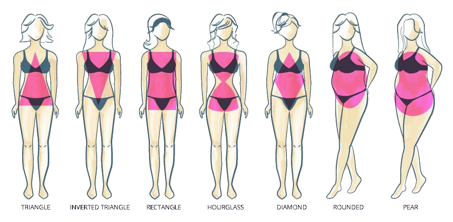 7 body shape types of women